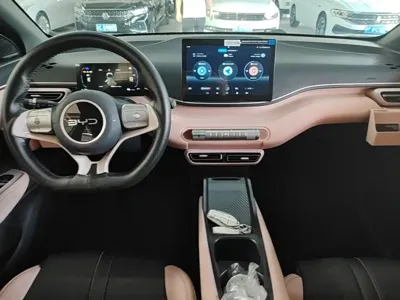 BYD Seagull