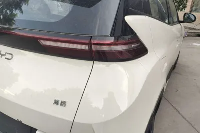 BYD Seagull