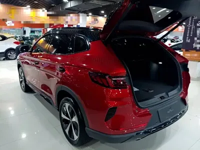 BYD PLUS New Energy