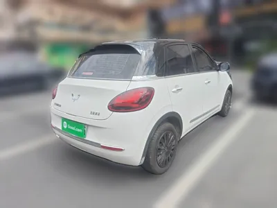 Wuling Bingo