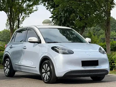 Wuling Bingo