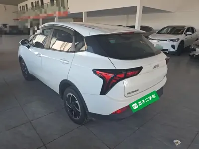 NETA Neta V