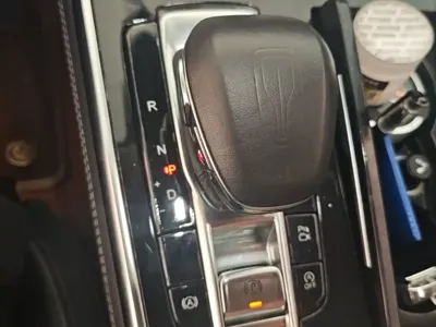 Hongqi Hongqi H9