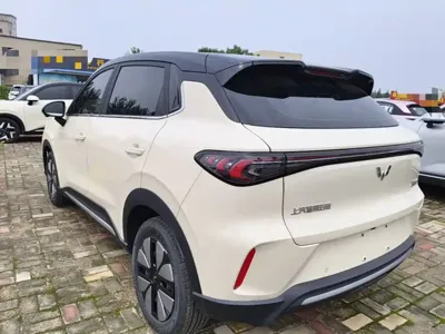 Wuling 缤果S