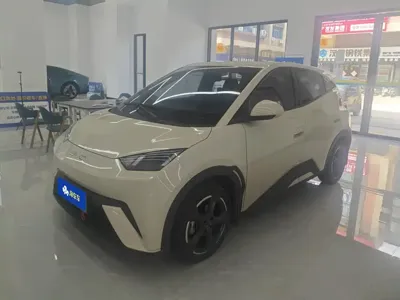 BYD Seagull