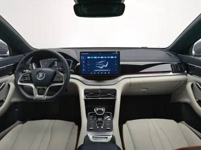 BYD PLUS New Energy