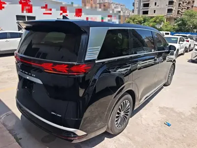 Denza Denza D9
