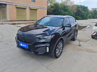 WEY Wey VV6