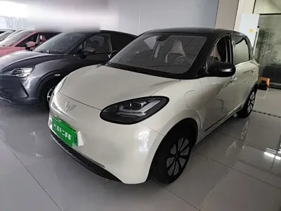 Wuling Bingo