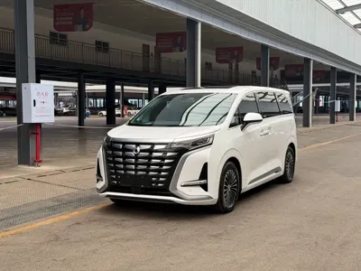 Denza Denza D9