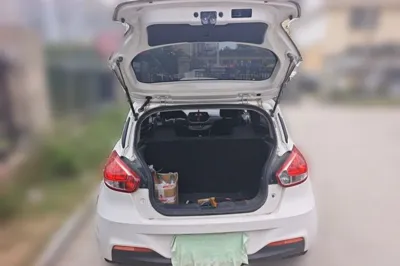 Baojun 310
