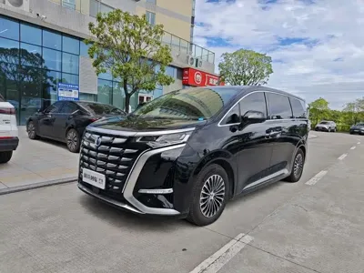 Denza Denza D9