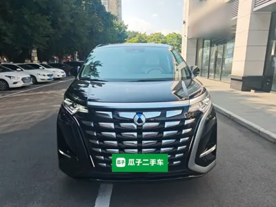 Denza D9