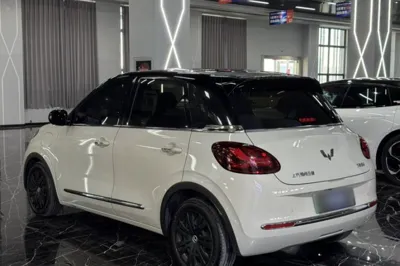Wuling Bingo