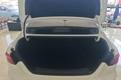 Geely Auto Binray