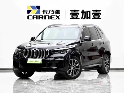 BMW X5 New Energy (Import)