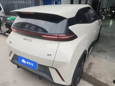 BYD Seagull