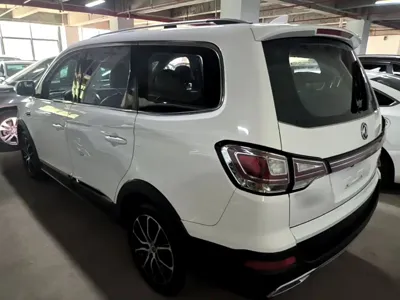 Fengxing Fengxing SX6