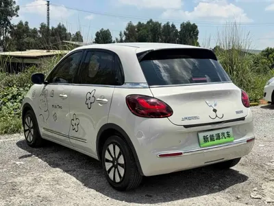 Wuling Bingo