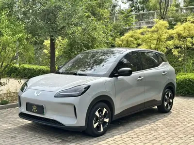 Wuling Bingo PLUS