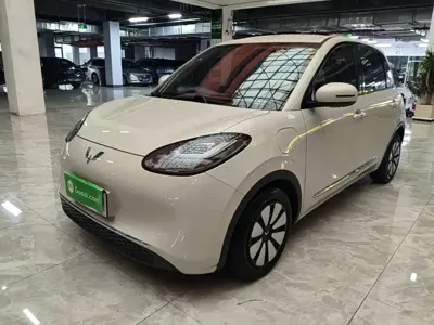 Wuling Bingo