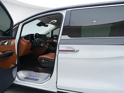 Hongqi Hongqi HQ9
