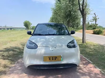 Wuling Bingo
