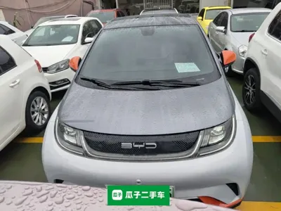 BYD Dolphin
