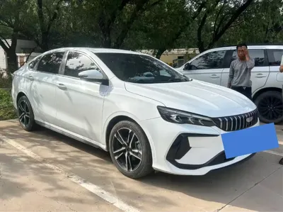 Geely Binrui