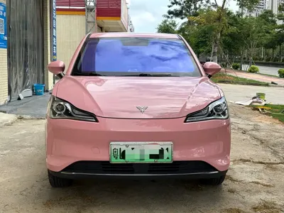 NETA Neta V