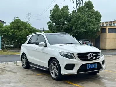 Mercedes-Benz 奔驰GLE(进口)
