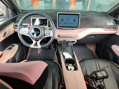 BYD Seagull