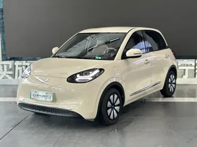 Wuling Bingo