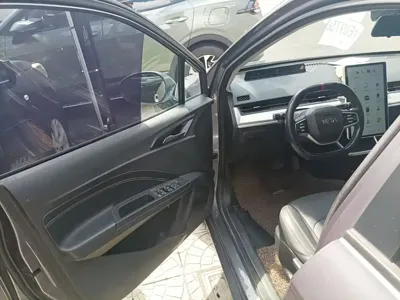 NETA Neta V