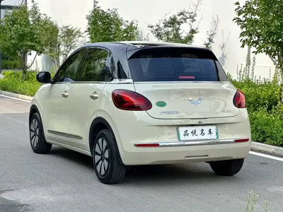Wuling Bingo
