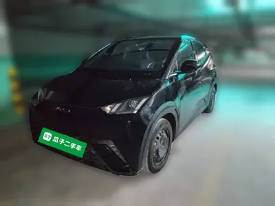 BYD Seagull