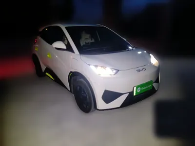 BYD Seagull