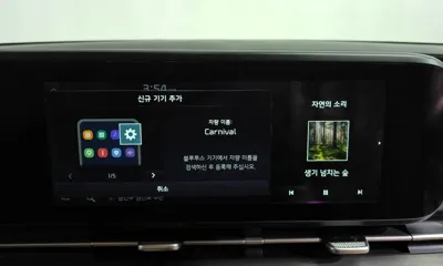 Kia Canival