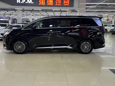 Denza Denza D9
