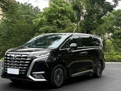 Denza Denza D9