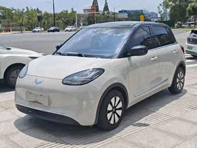 Wuling Bingo