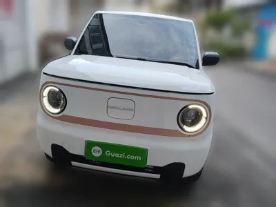 Geely Galaxy Panda