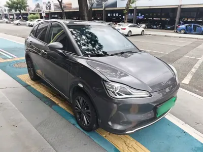 NETA Neta V