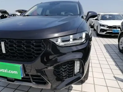 WEY Wey VV5