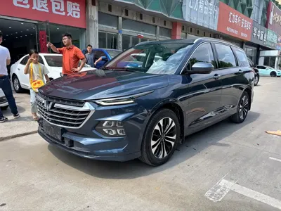 Wuling Victory