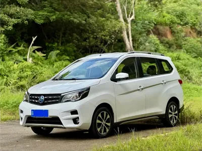 Venucia M50V