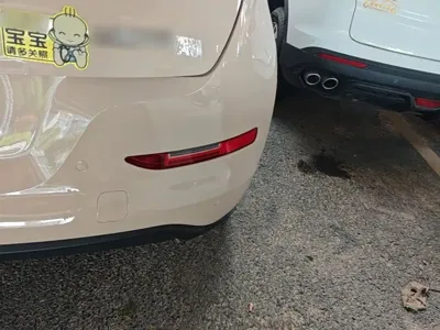 ORA Ora Good Cat