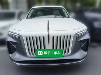 Hongqi Hongqi E-HS9