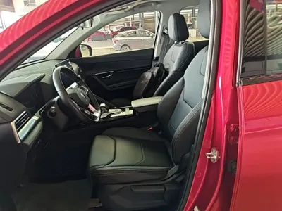 BYD Pro