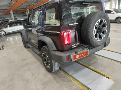 Tank Tank 300L New Energy